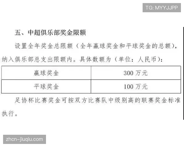 罗马俱乐部因财务违规被意大利足协处以罚款 罗马俱乐部因财务违规被意大利足协处以罚款